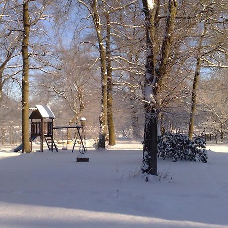 Landgasthof Zur Heideschenke Hotel Wolthausen Servizi foto