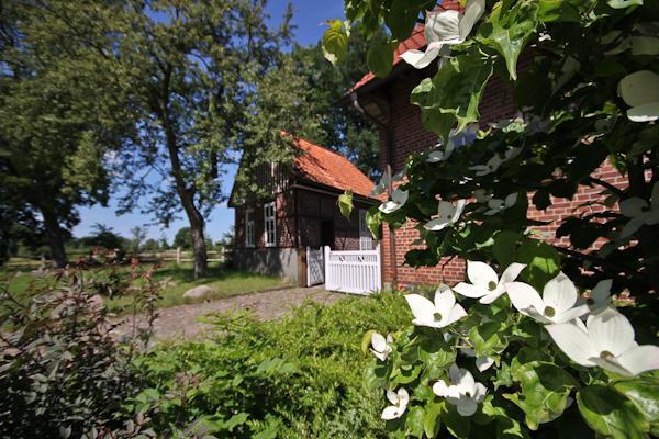 Landgasthof Zur Heideschenke Hotel Wolthausen Esterno foto